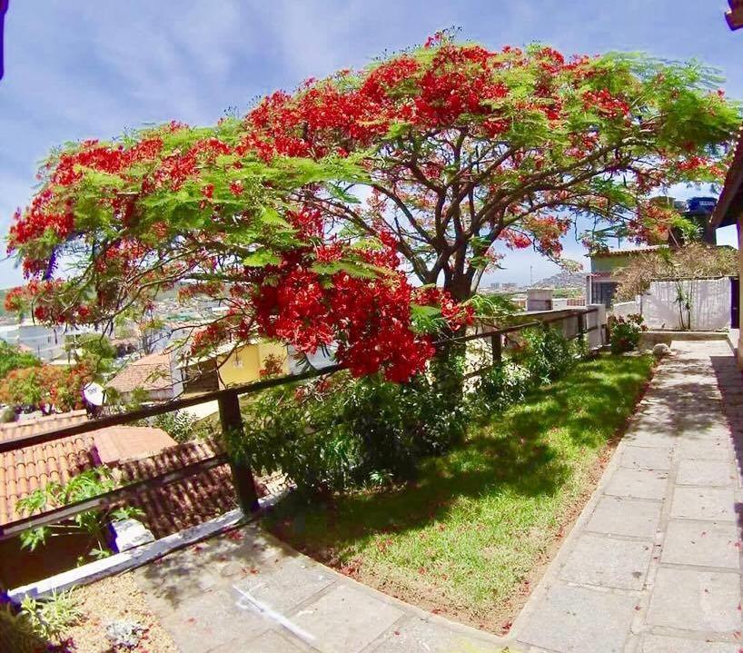 Guest house Solar Dos Anjos *